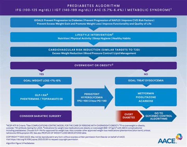 AACE Comprehensive Diabetes Management Algorithm 2013 PDF: Full Clinical Guide