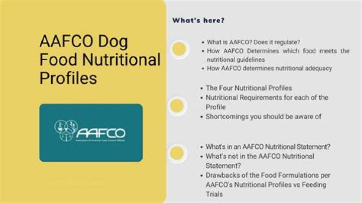 AAFCO Feeding Trials Dog Food List PDF: Verified Nutrition for Your Pet