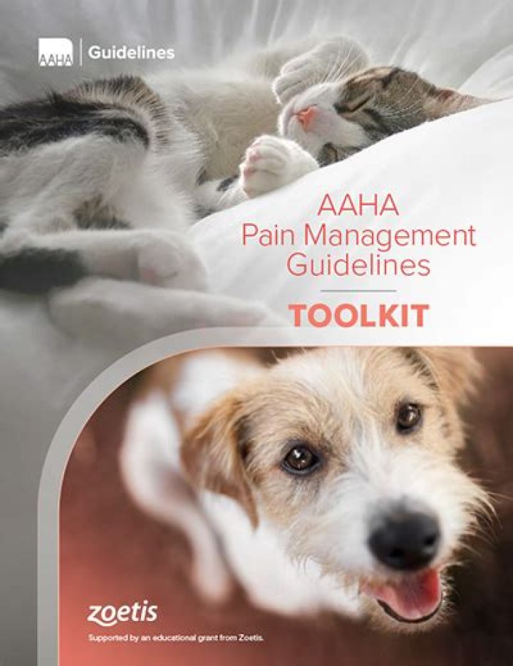 Aaha 2022 Pain Management Guidelines for Dogs & Cats PDF