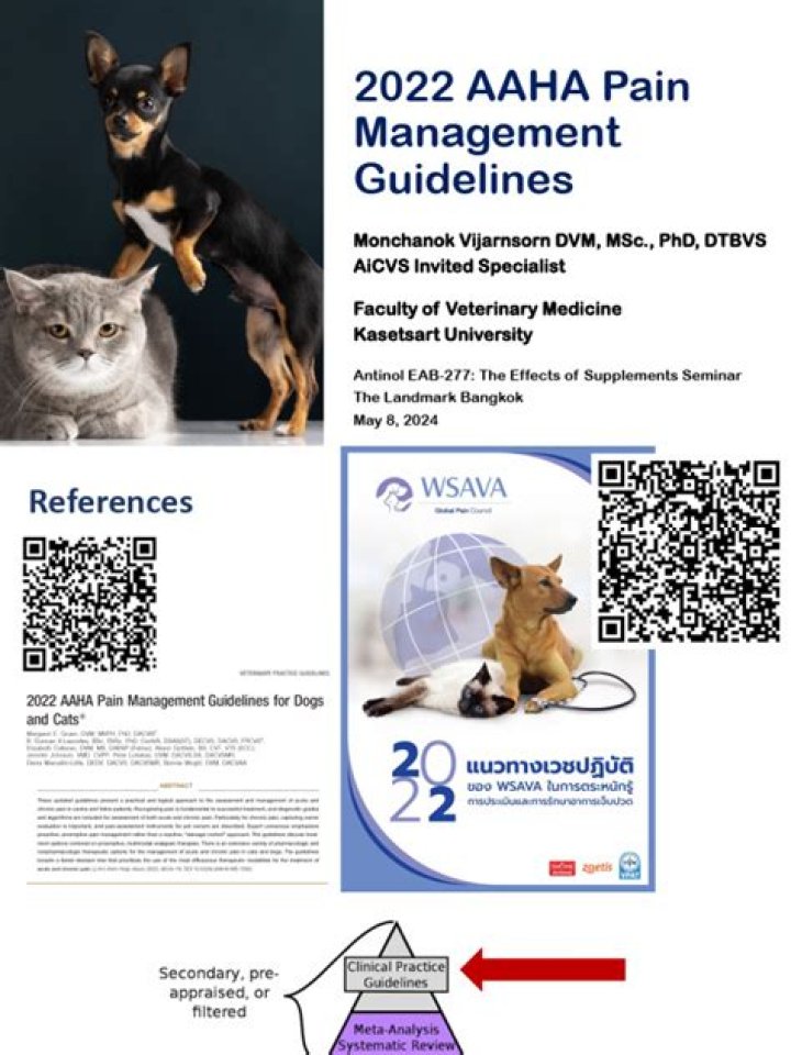 AHAHA Pain Management Guidelines for Dogs & Cats 2022 – Essential PDF Guide