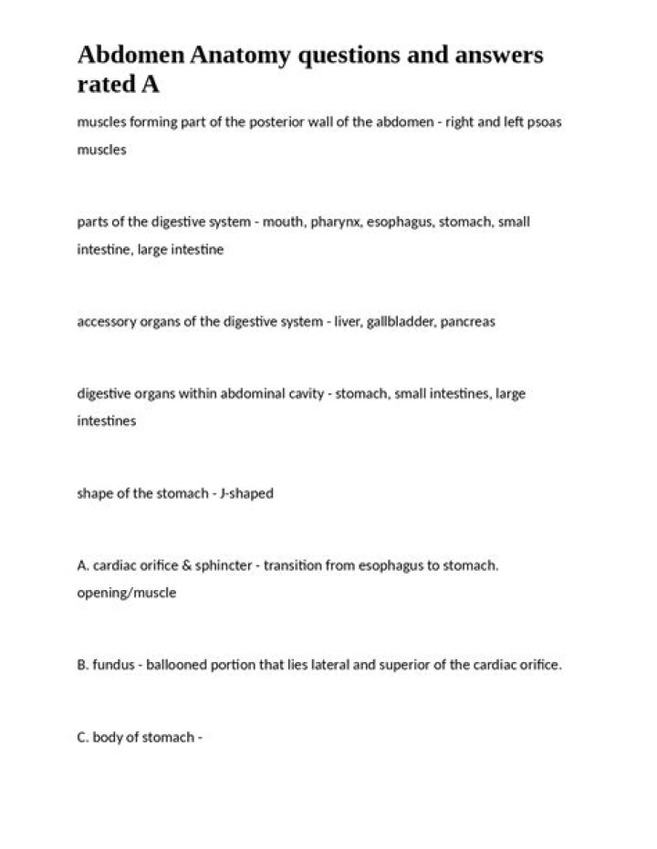 Abdomen Anatomy Questions & Answers: Essential PDF Guide