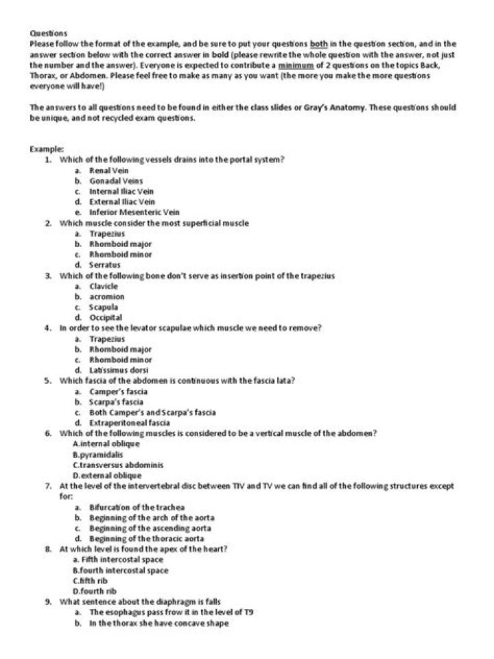 ABDOMEN ANATOMY Questions PDF: Essential Queries Explained