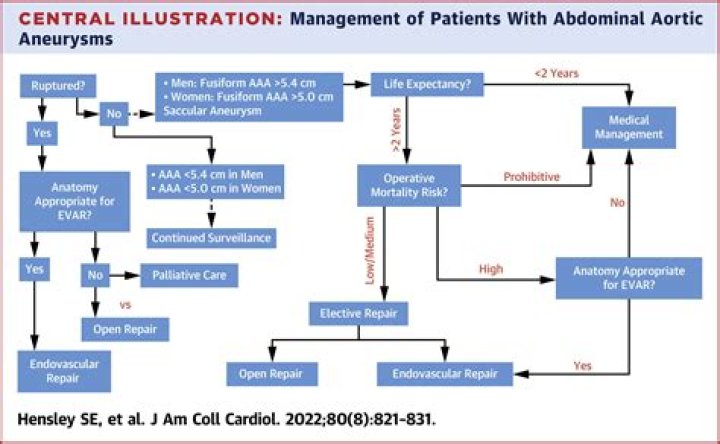 Comprehensive Guide to Abdominal Aortic Aneurysm Management PDF