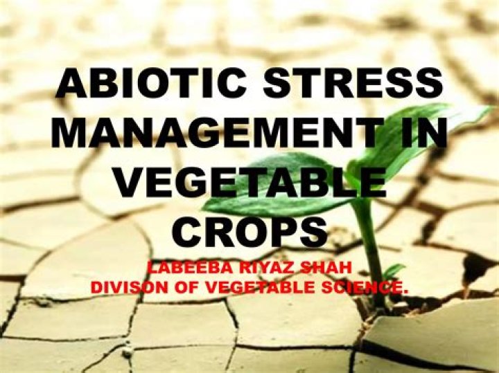 Abiotic Stress Management in Vegetable Crops: Expert PDF Guide