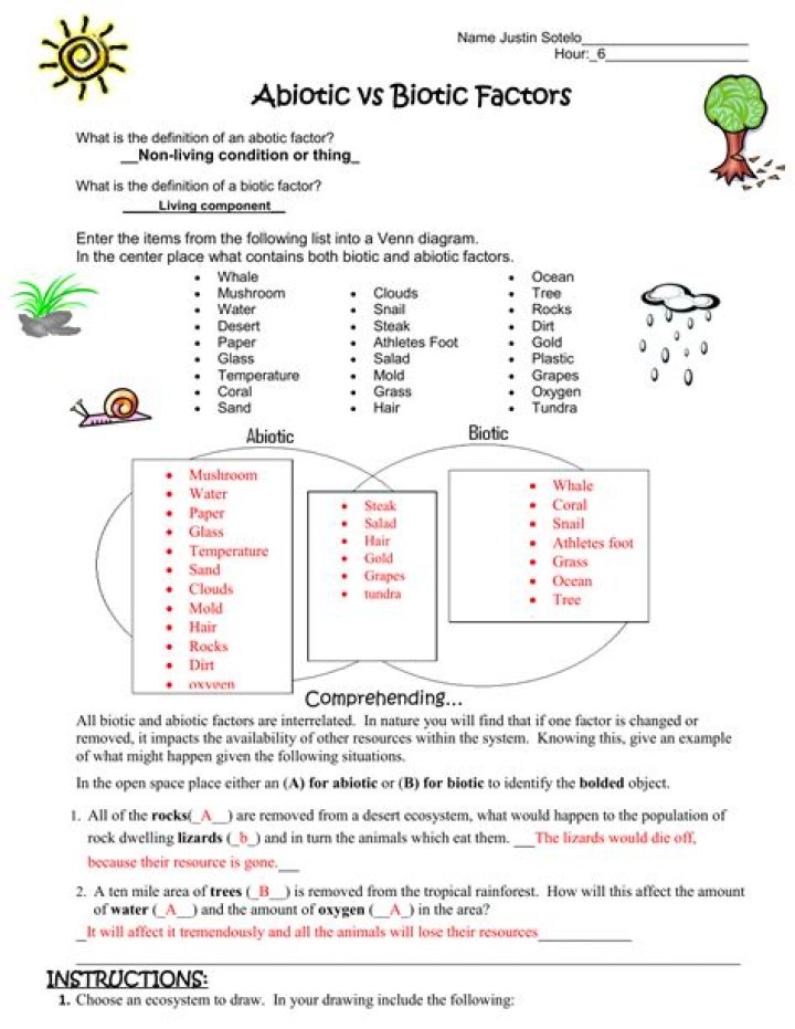 Abiotic vs Biotic Factors Worksheet Answers PDF – Instant Study Guide
