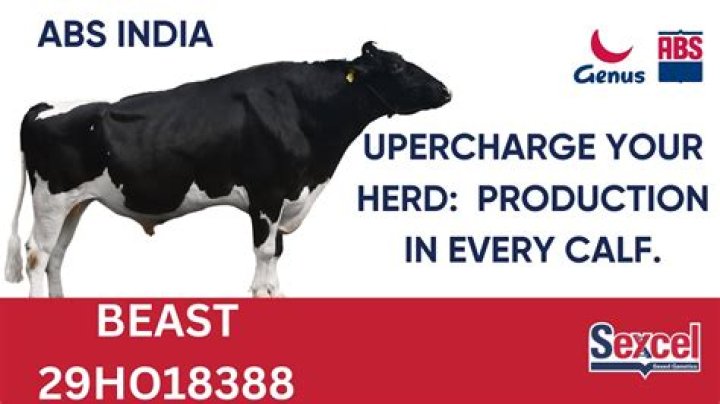 ABS Gir Bull List PDF: Full Breeding Data & Registration Details
