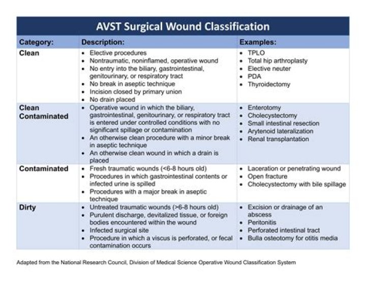 Absite Surgery Questions & Answers: Complete PDF Guide