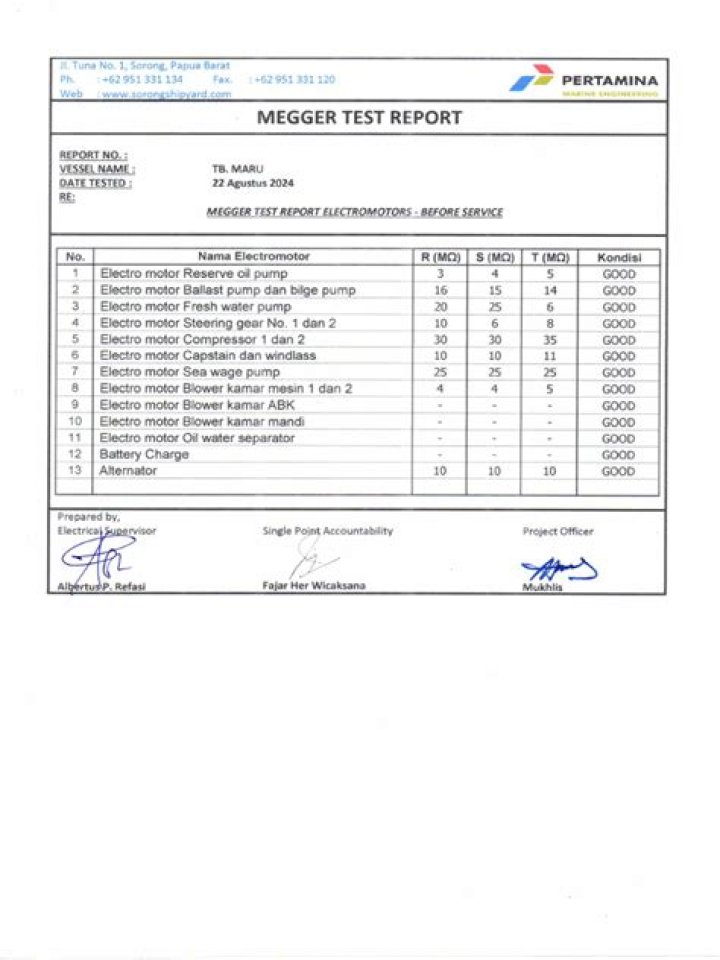 Acceptable Megger Test Results PDF for Electrical Safety Compliance