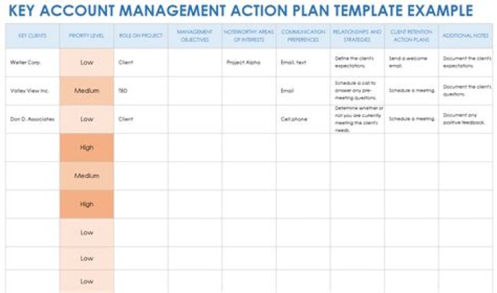 Account Management Plan PDF: Professional Template & Strategy Guide