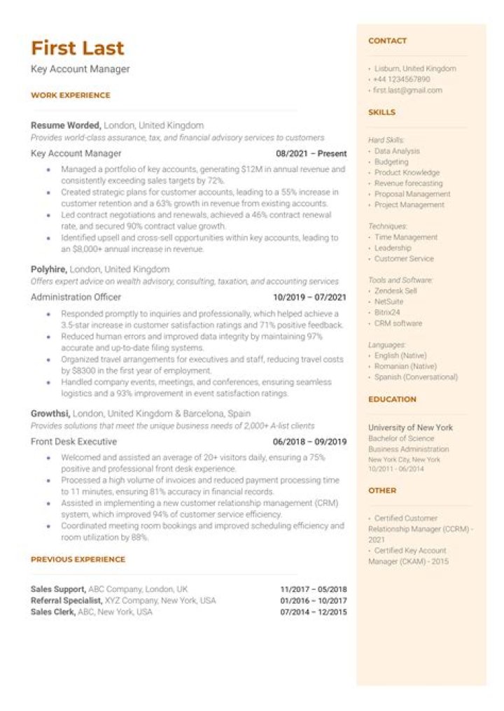 Download Your Professional Account Manager Resume PDF