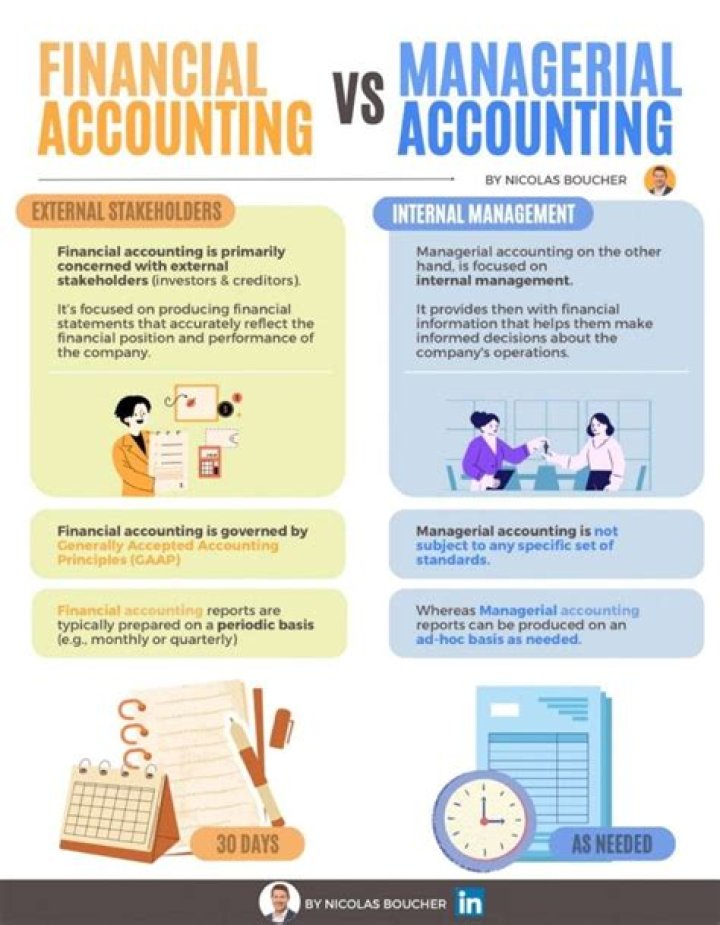 Accounting & Financial Management for IT Professionals: Essential PDF Guide