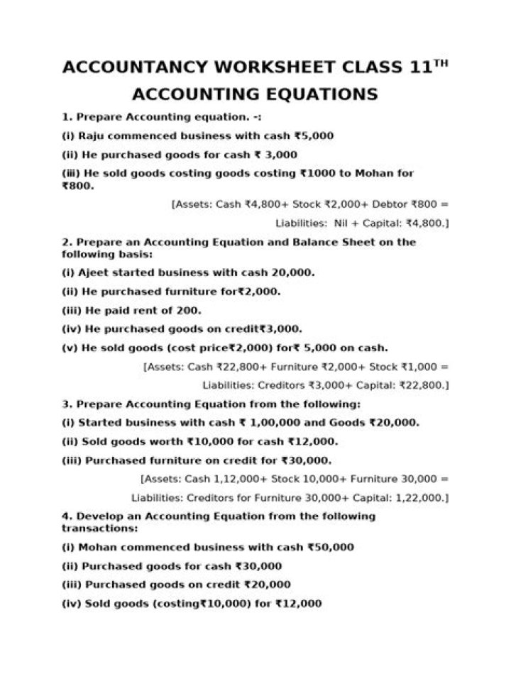 Accounting Equation Class 11 PDF with Answers: Master the Basics