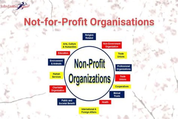 Accounting for Non-Profit Organizations: Questions & Answers PDF