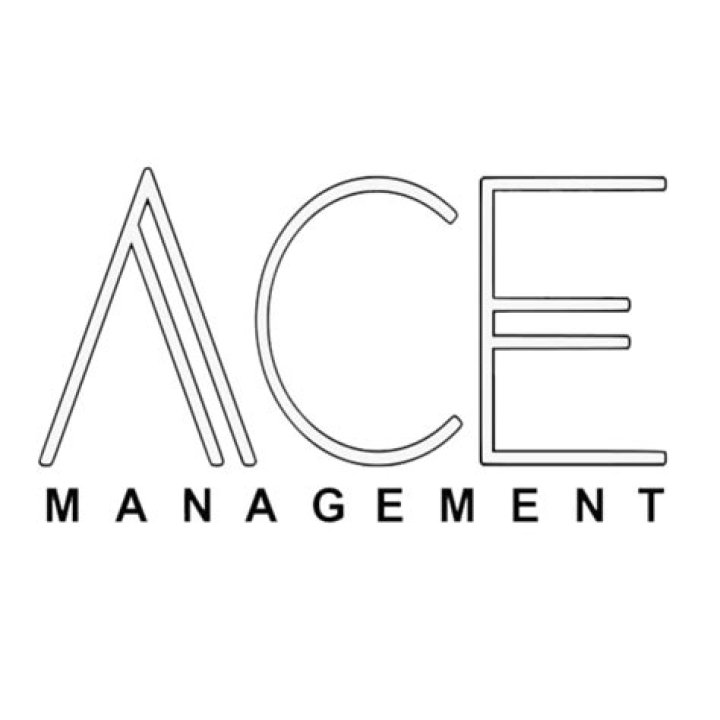 ACE Management Business PDF: Boost Efficiency & Expertise