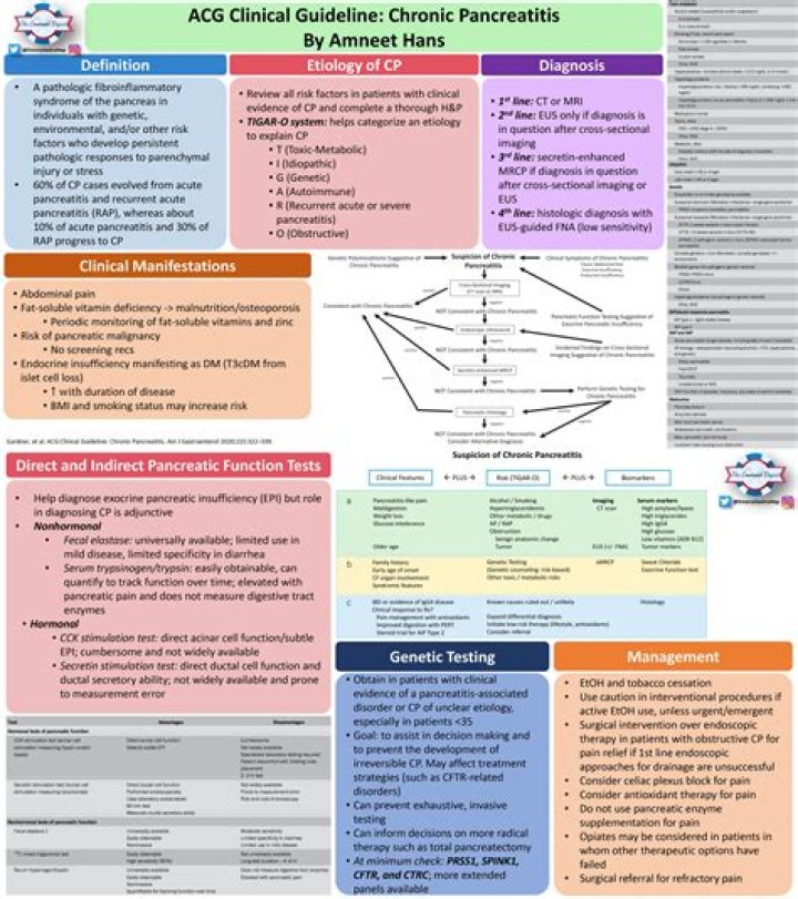 ACG Clinical Guidelines: Diagnosis and Management of Pancreatic Cysts – PDF Guide