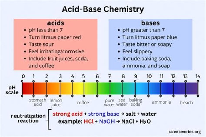 How to Perform Acid and Base Test: Free PDF Guide