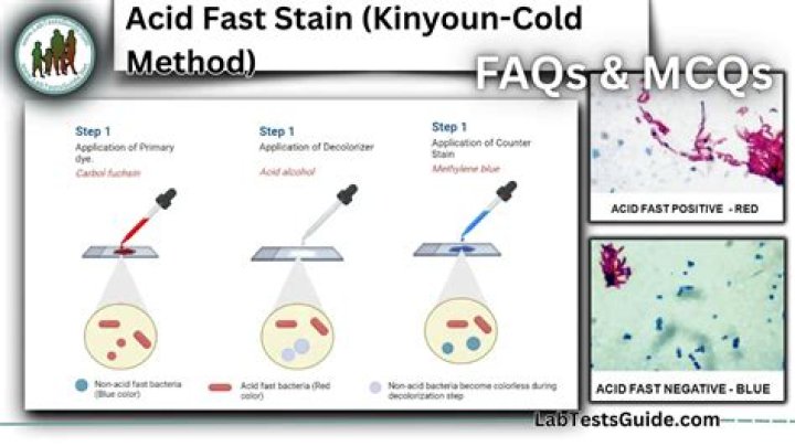 Acid Fast Test PDF Guide: Rapid Results with Simple Steps