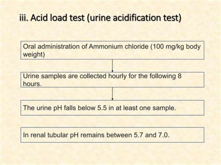 How to Perform an Acid Load Test: Expert PDF Guide