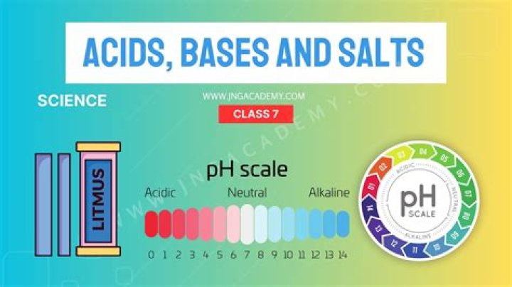 Acids, Bases, and Salts Test PDF – Download Instant Study Guide
