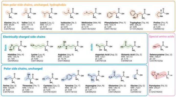 Complete Acids List PDF – Quick Reference Guide