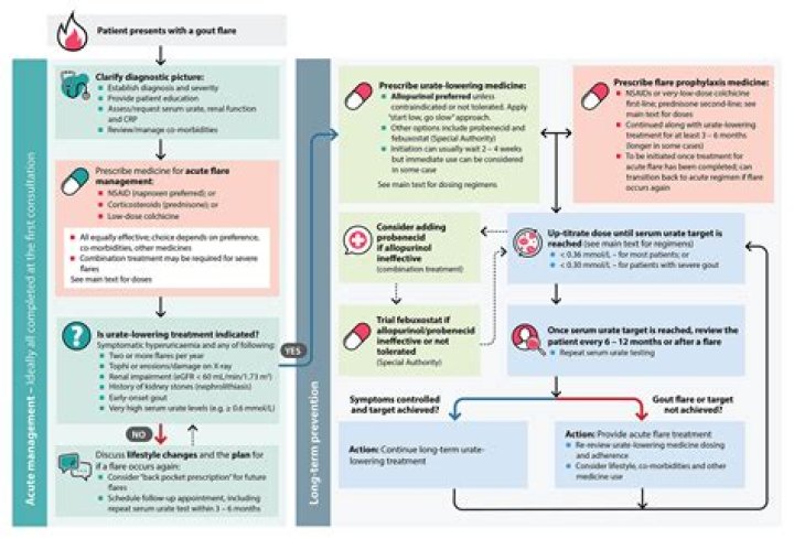 ACR 2020 Gout Management Guidelines: Essential PDF Resource