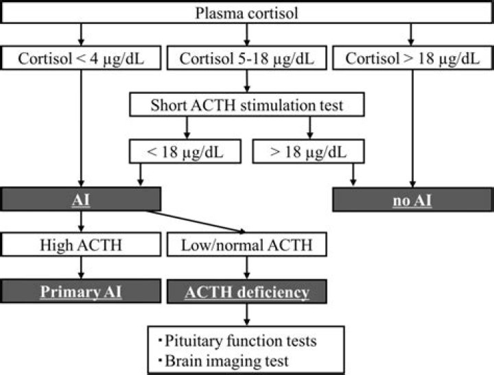 ACTH Stimulation Test Protocol PDF: Step-by-Step Guide