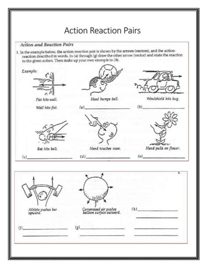 Free Action Reaction Force Pairs Worksheet Answer Key PDF with Solutions