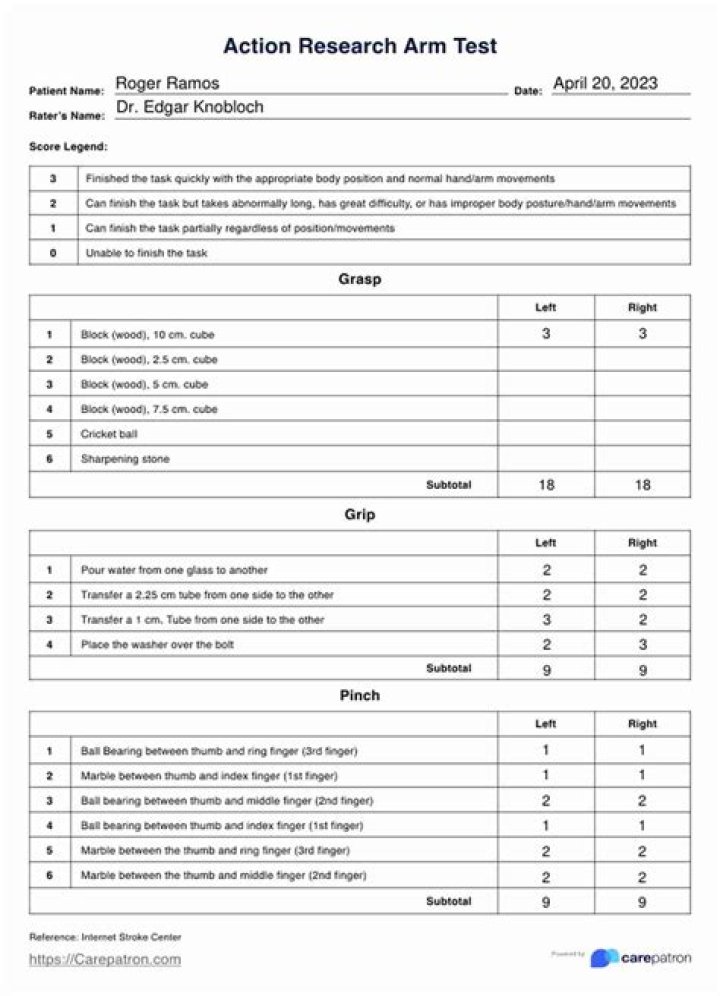 Action Research Arm Test PDF: Practical Guide & Analysis