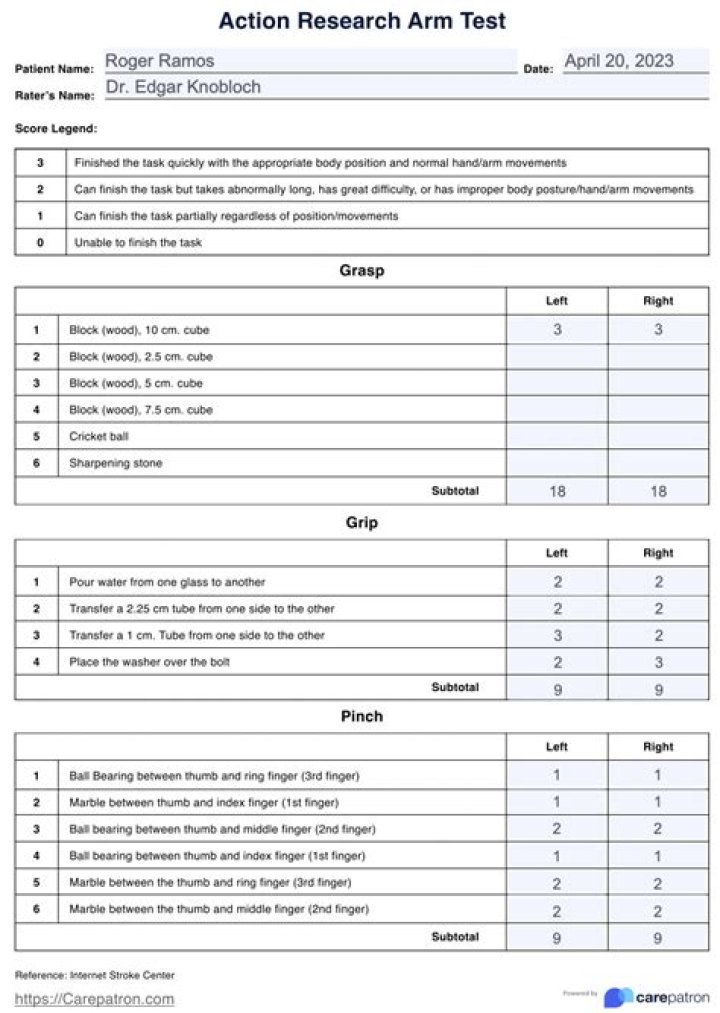 Action Research Arm Test Scoring Sheet PDF for Quick Evaluation