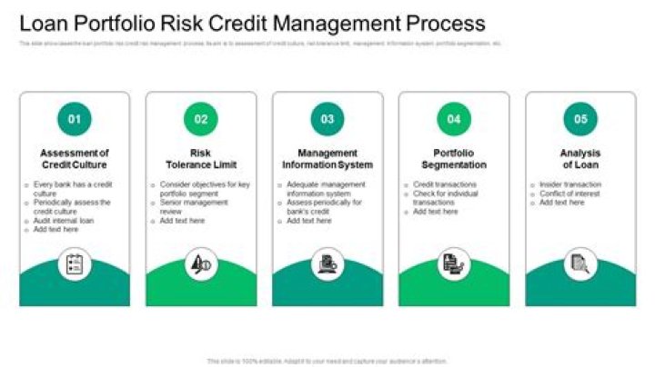 Active Credit Portfolio Management in Practice: PDF Guide & Real-World Insights