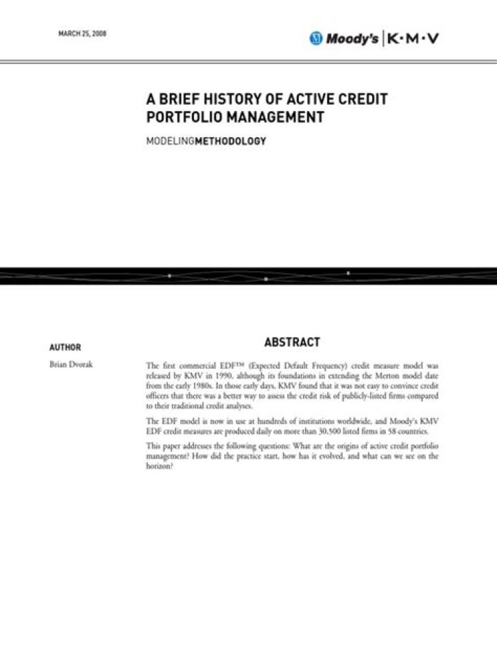 Active Credit Portfolio Management PDF Guide: Optimize Loan Assets Today