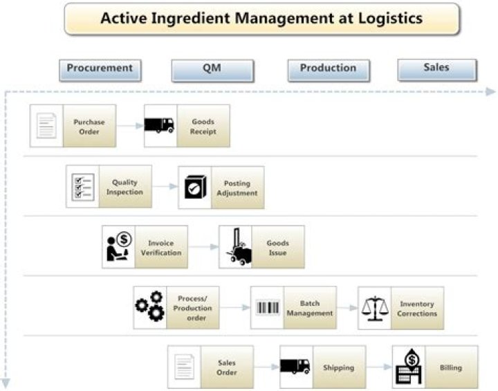 Active Ingredient Management in SAP: PDF Guide for Efficient Processes