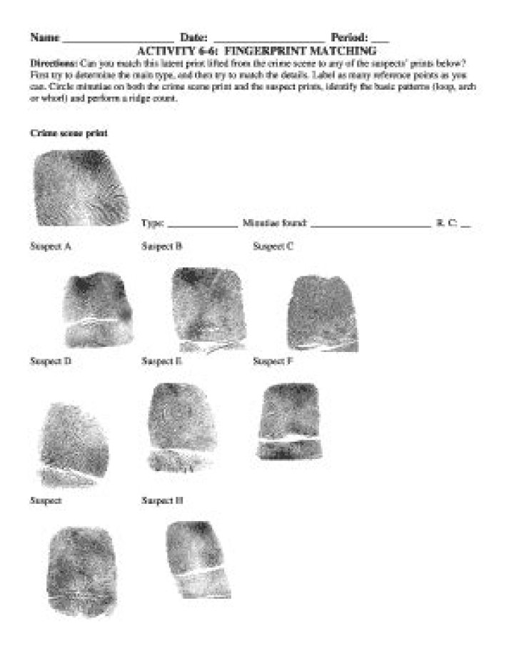 Activity 6-6 Fingerprint Matching Answer Key PDF Guide
