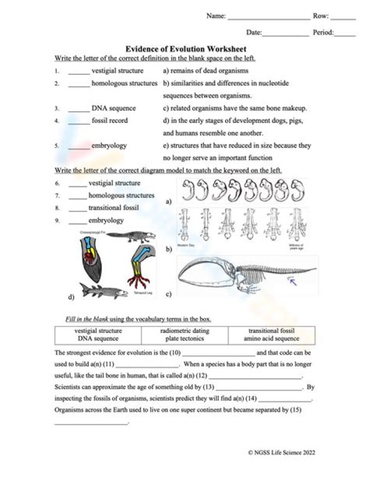 Activity-Based Evidence of Evolution Worksheet Answers PDF
