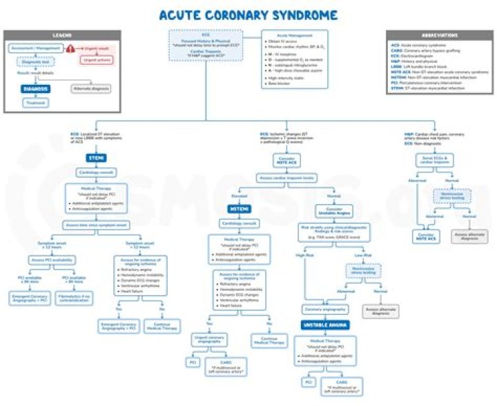 Comprehensive Guide to Acute Coronary Syndrome Management PDF