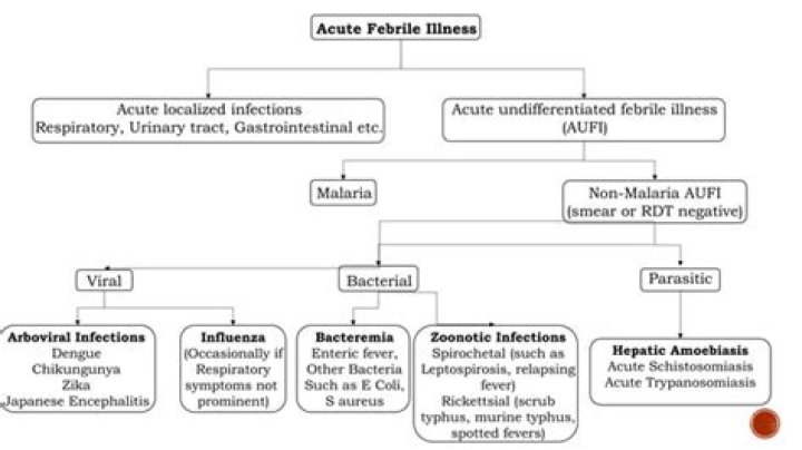 Acute Febrile Illness Management: Essential PDF Guide