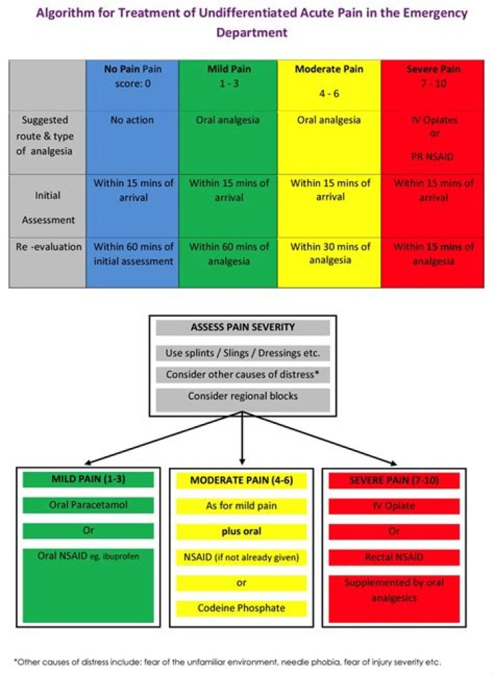 Acute Pain Management Guidelines 2017: Essential PDF Guidelines