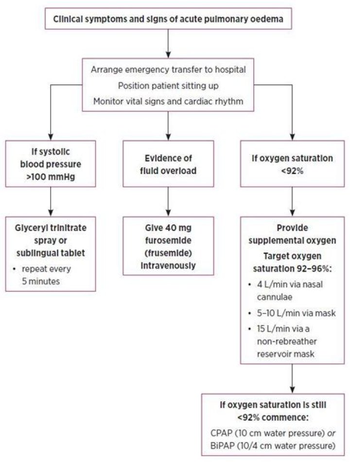 Acute Pulmonary Oedema Management Guidelines PDF – Immediate Treatment Strategies