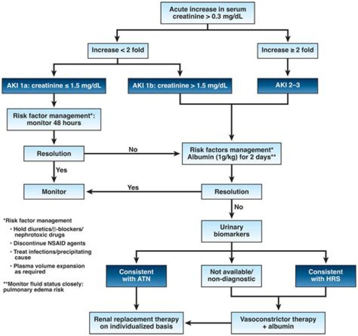 Acute Renal Failure Management PDF: Complete Guide & Treatment Strategies