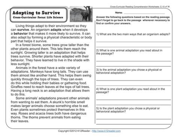 Free Adaptation Worksheet PDF – Download & Adapt for Effective Change