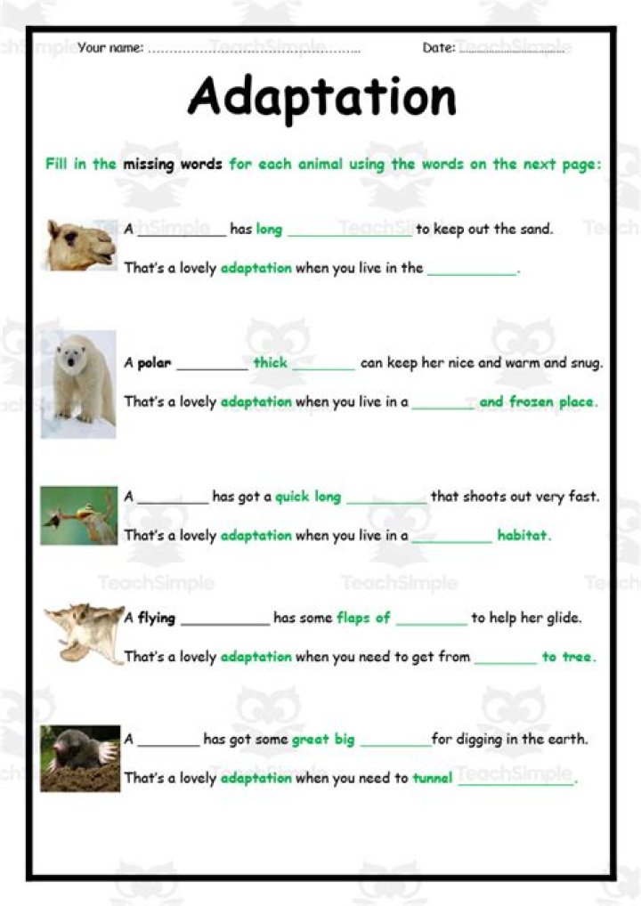 Free Adaptations Worksheet PDF – Download for Biology Lessons
