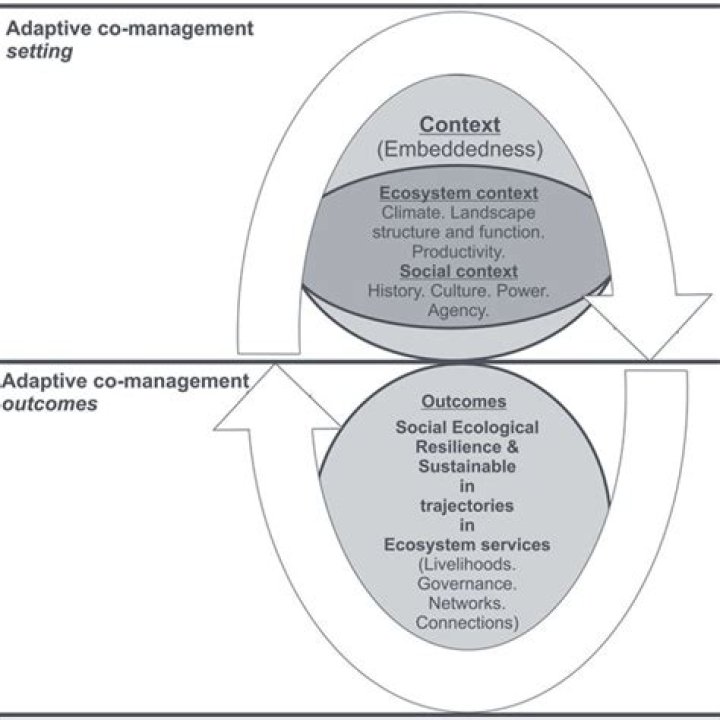 Adaptive Co-Management PDF: Key Strategies for Collaborative Environmental Governance