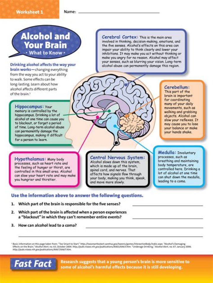 Addiction and the Brain Worksheet PDF: Understand Neural Mechanisms