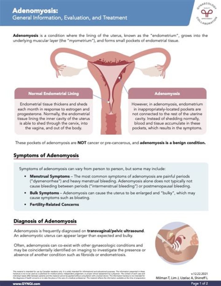 Adenomyosis Management PDF: Effective Treatment & Self-Care Guide