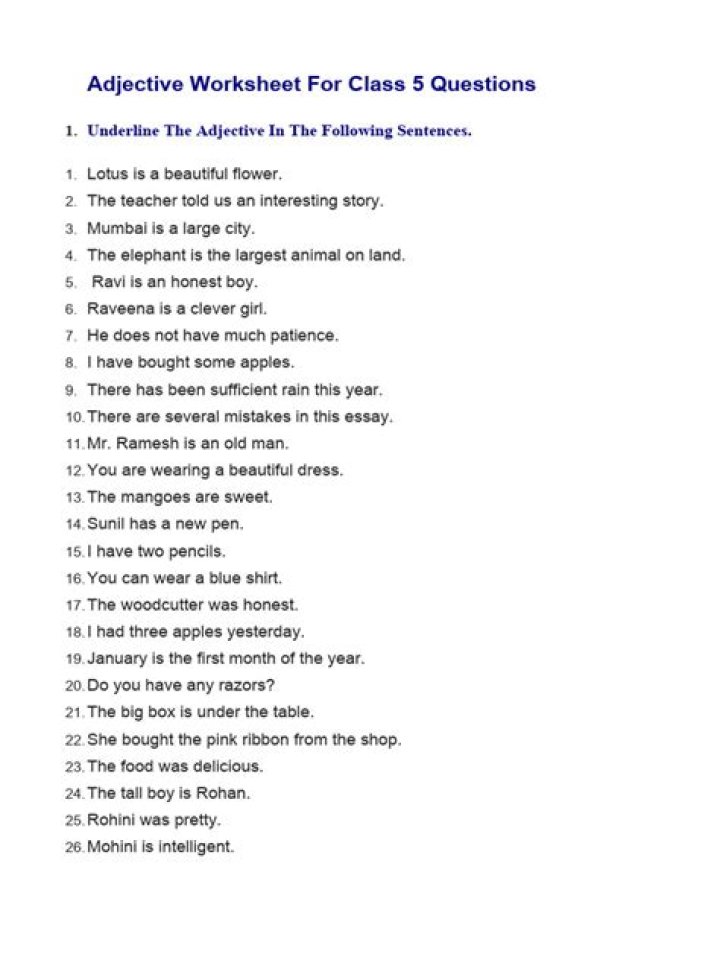 Adjective Worksheet for Class 5 PDF – Instant Download