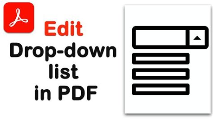 Adobe PDF Form Drop Down List Without Arrow – How to Use