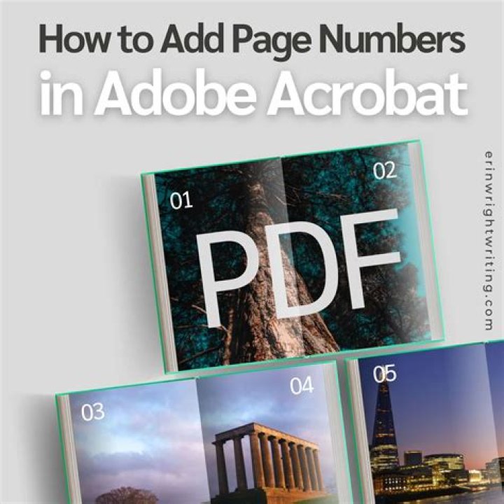 Top Adobe PDF Manage Add-Ons for Seamless Document Control