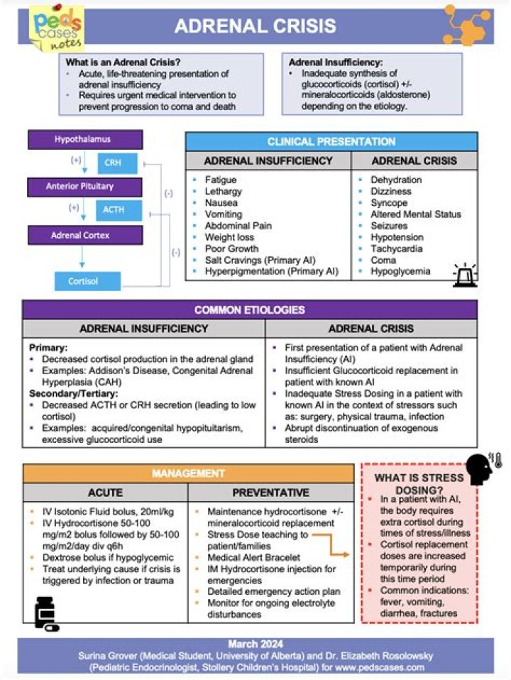 Adrenal Crisis Management PDF: Life-Saving Emergency Guide