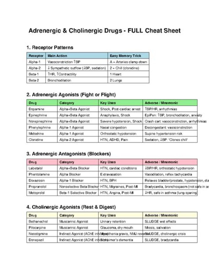 Free Adrenergic and Cholinergic Test Bank for Nursing Students PDF