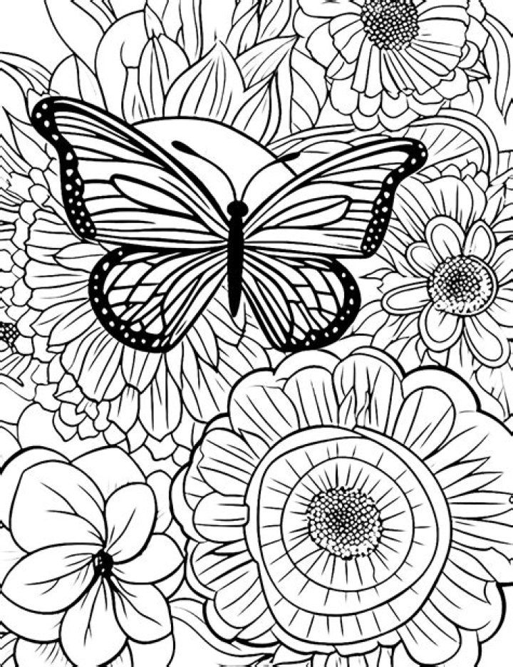 Adult Coloring Sheets PDF – Free Download for Relaxation & Creativity